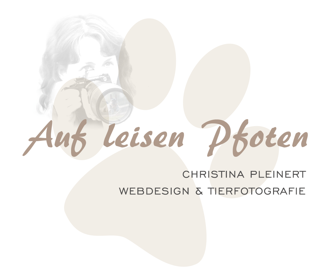Auf leisen-Pfoten Webdesign & Tierfotografie
