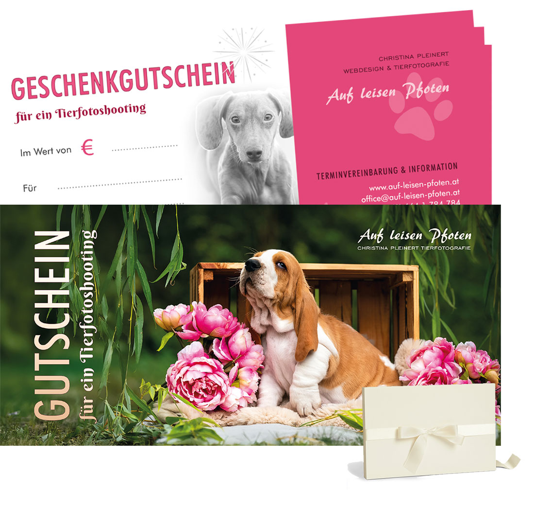 Fotoshooting Gutscheine