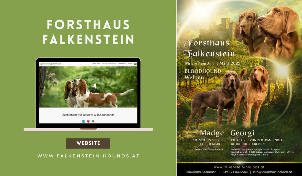 Webdesign für Züchter - Forsthaus Falkenstein Bloodhounds und Bassets