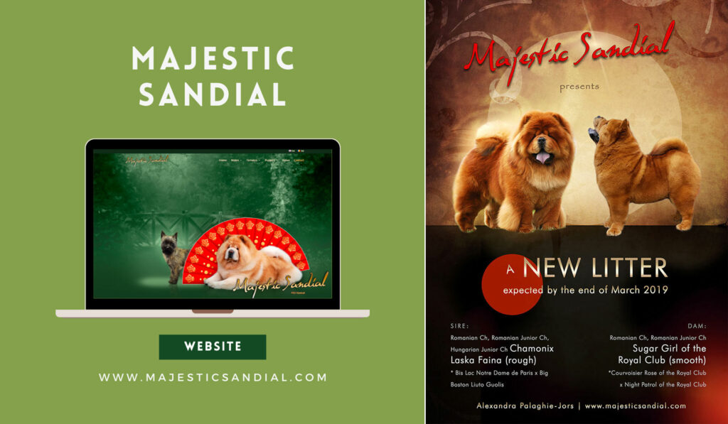 Webdesign für Züchter - Majestic Sandial
