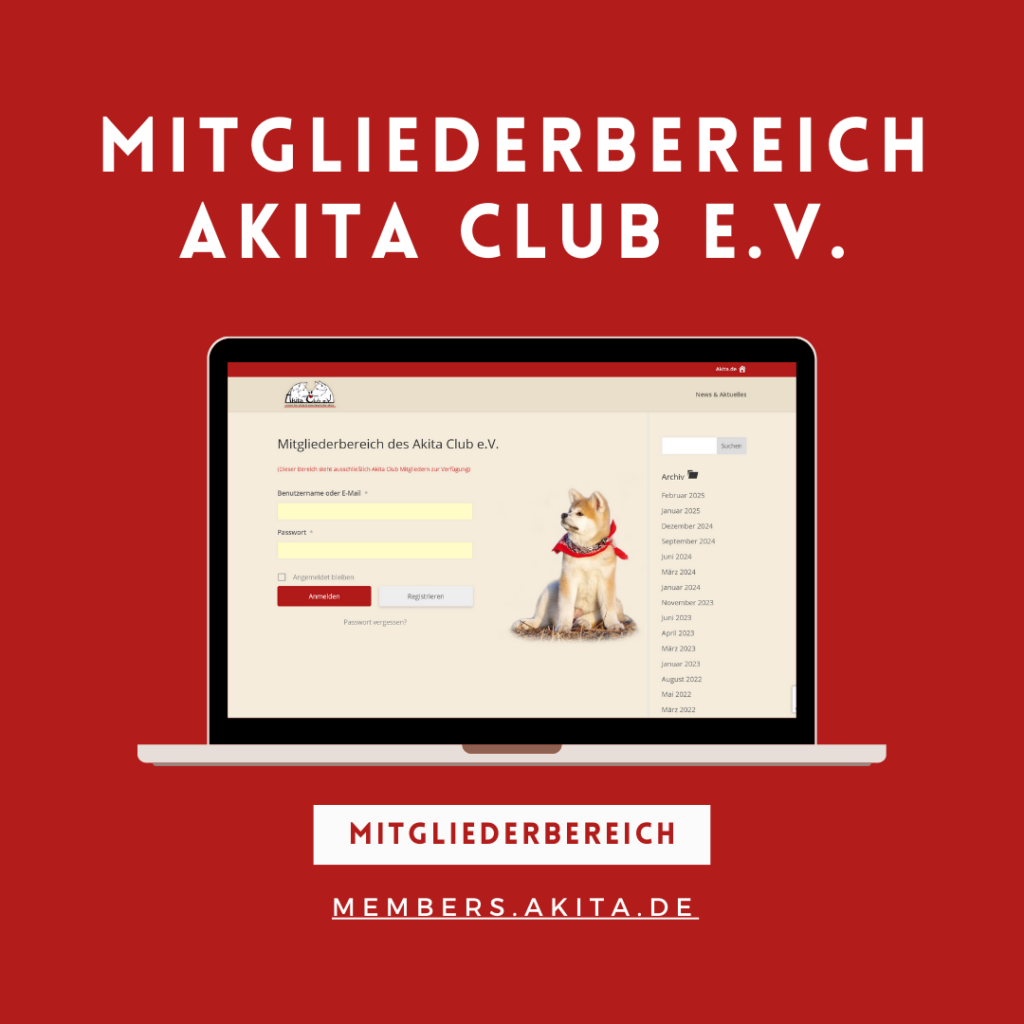 Webdesign für Rassezuchtvereine: Akita Club e.V.