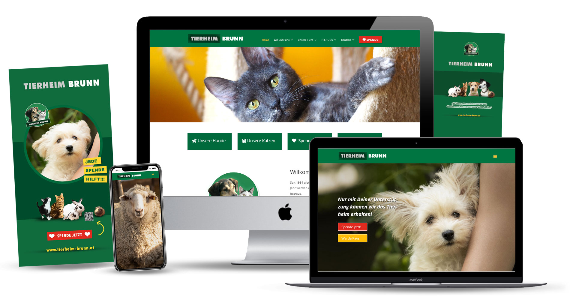 Webdesign für den Tierschutz