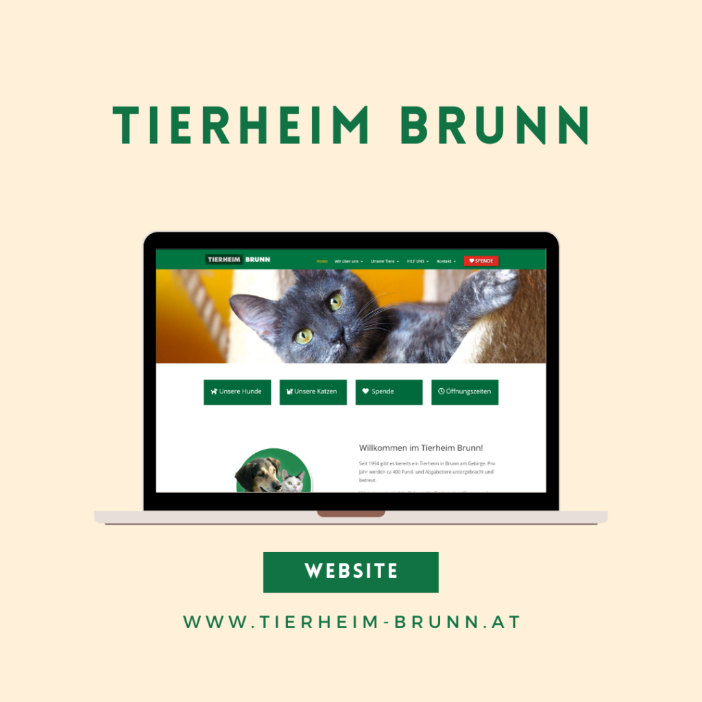 Webdesign für den Tierschutz: Tierheim Brunn