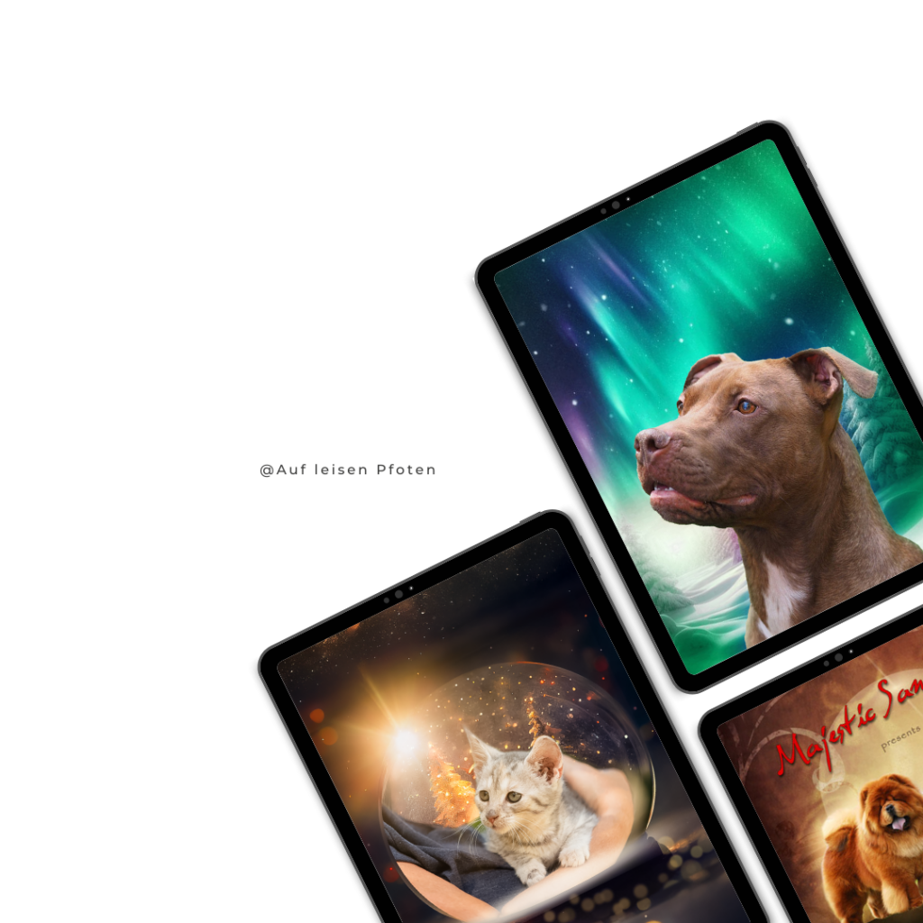 Webdesign Magazine Layout